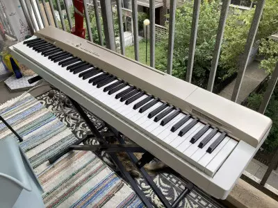 px160 خرید پیانو